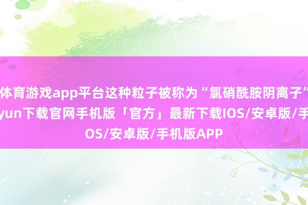 体育游戏app平台这种粒子被称为“氯硝酰胺阴离子”-开云kaiyun下载官网手机版「官方」最新下载IOS/安卓版/手机版APP